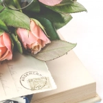 Бездепозитные бонусы казино - спокойный анализ предложений